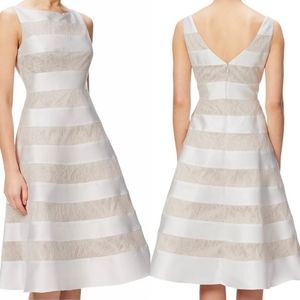 Adrianna Papell || Mikado Fit & Flare ||Striped Lace Midi Dress